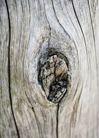 Houten Knoest