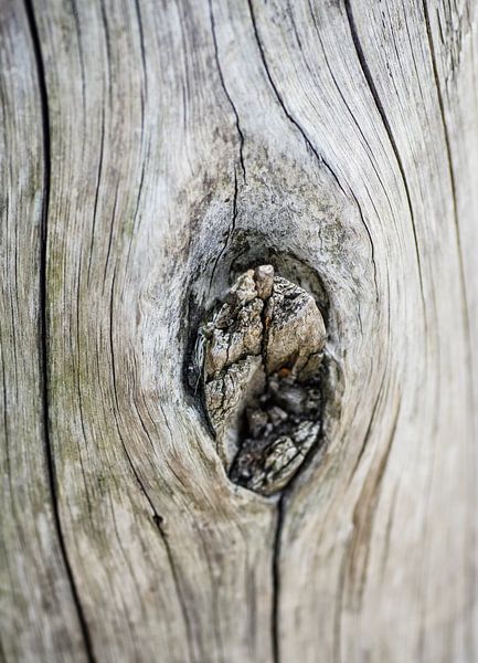 Houten Knoest von Arnold de Gans