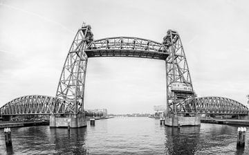 The railwaybridge De Hef in black and white RawBirdphoto's Wouter Putter
