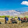 Landarbeit mit dem Einsatz von Yaks, Tibet. Panorama von Rietje Bulthuis
