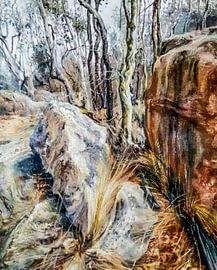 Australia landscape