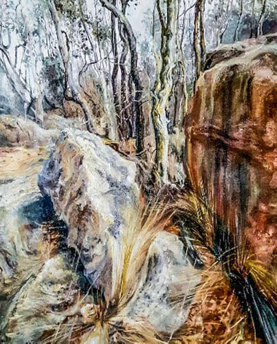 Australie landschap victoria