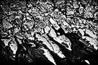 Verlaten fiets