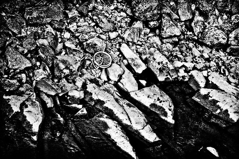 The Bicycle by Stefan Antoni