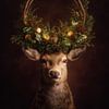 portrait hivernal d'un cerf avec une couronne verte festive sur But First Framing