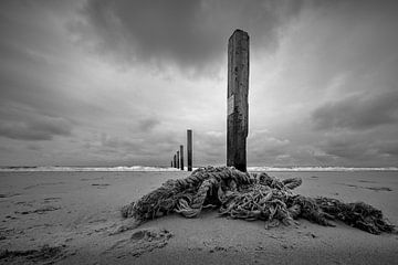 Autumn day on the North Sea beach by Peter Bartelings