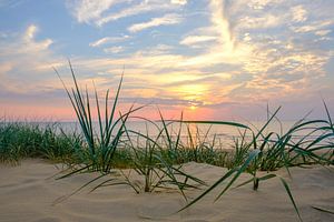 Coucher de soleil d'été dans les dunes de la plage de la mer du Nord sur Sjoerd van der Wal Photographie