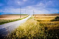 The road ahead