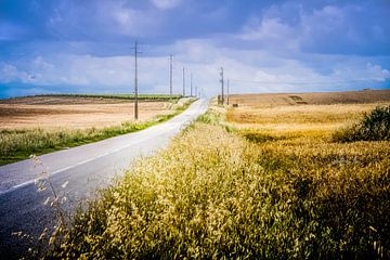 The road ahead.  van Freddy Hoevers