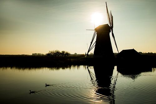 Windmolens in Kinderdijk tijdens zonsondergang