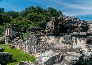Mexico: Pre-Hispanic City and National Park of Palenque (Palenqu
