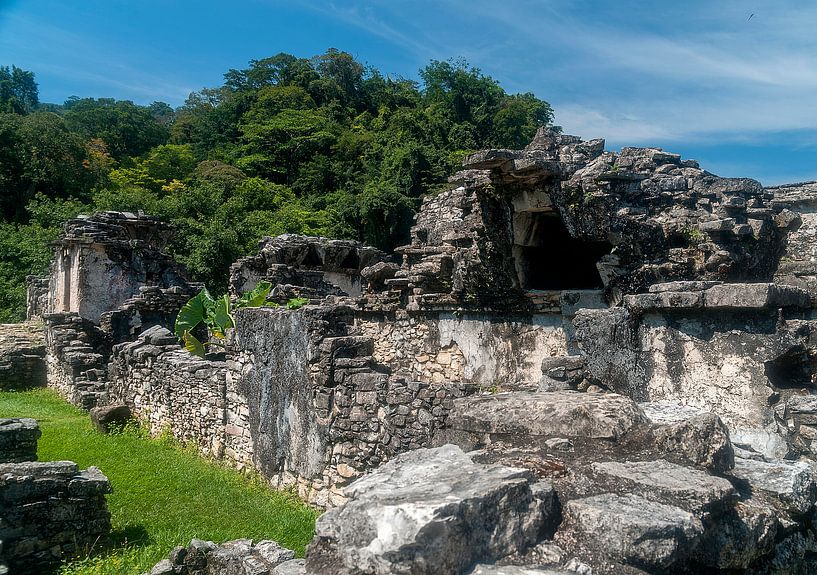 Mexico: Pre-Hispanic City and National Park of Palenque (Palenqu van Maarten Verhees