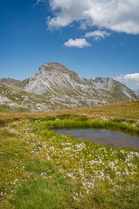kleiner Tümpel in den Alpen von Davos und die Schweizer Alpen