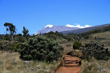Kilimanjaro van Gert-Jan Siesling