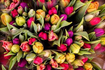 Bos tulpen op de markt van Blond Beeld