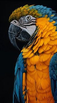 Blauw gele papagaai van Koffie Zwart