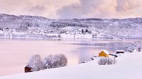 Winter auf der Insel Senja, Norwegen von Adelheid Smitt Miniaturansicht