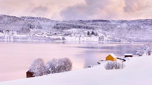 Winter auf der Insel Senja, Norwegen