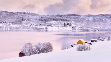 Winter op Senja eiland, Noorwegen van Adelheid Smitt