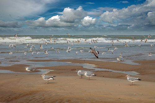 Plage Oostkapelle