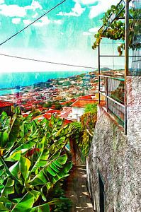 View Down To Funchal From Monte in Madeira