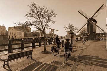 Sfeerbeeld in Holland van QEIMOY