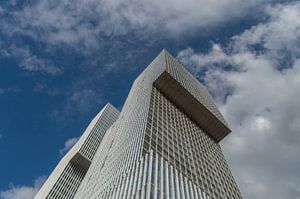 Der Rotterdamer, in Rotterdam