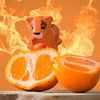 Oranje van Sven Wildschut
