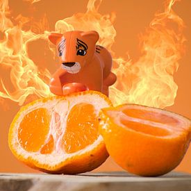 Orange von Sven Wildschut