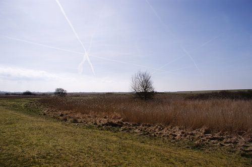 lauwersoog 