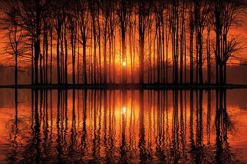Mystieke zonsondergang in bos bij meer van Art & Soul Creations