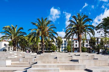 View to the city Funchal on the island Madeira, Portugal by Rico Ködder