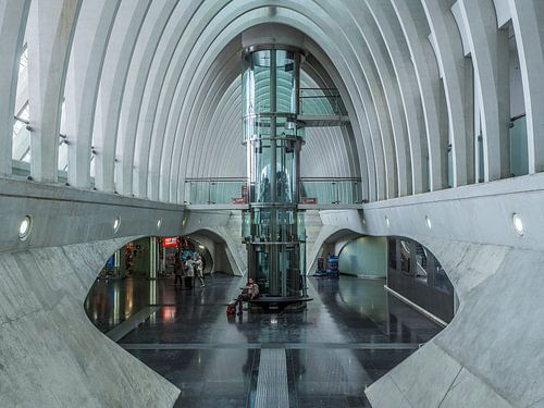 TGV station Guillemin