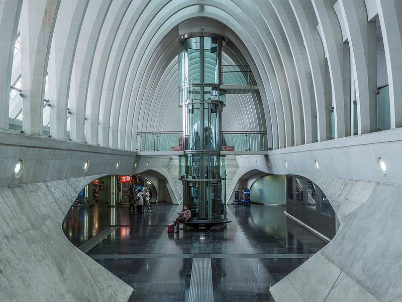 TGV station Guillemin von Henk Goossens