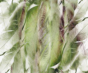 Federleicht, abstrakt