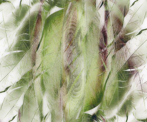 Vederlicht, abstract