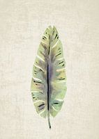 LEAF I