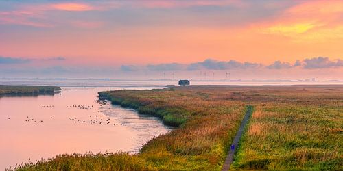 Zonsopkomst bij de Kiekkaaste