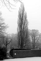 Noorderplantsoen in de Winter 2