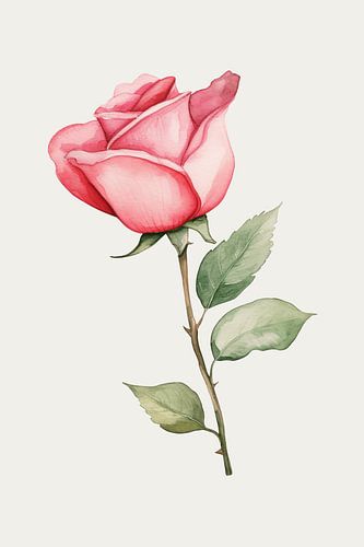 enkele roze roos, lichte achtergrond van DigitalArtForYou