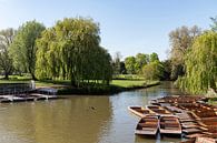 River Cam Cambridge by Richard Wareham thumbnail
