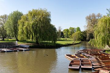 River Cam Cambridge van Richard Wareham