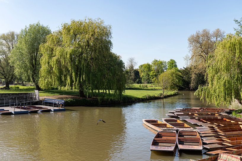 River Cam Cambridge by Richard Wareham