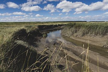 Landschap Verdronken Land van Saeftinghe, van Imladris Images