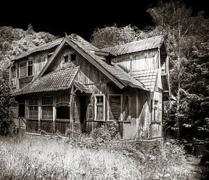 Maison en bois dans les bois sur Olivier Photography