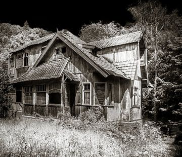 Houten huis in de bossen van Olivier Photography