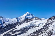 Uitzicht op de Aletschhorn van Leo Schindzielorz thumbnail