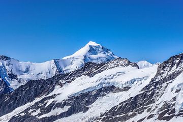 Uitzicht op de Aletschhorn van Leo Schindzielorz