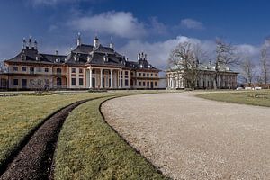Schlossgarten Pillnitz Dresden