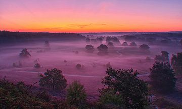 Brunssummerheide. van Jurgen Maassen